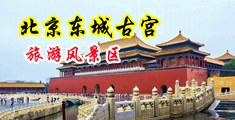骚女操逼网中国北京-东城古宫旅游风景区